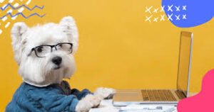 Tráfego pago para Petshop: Se você possui um pet shop e deseja atrair mais clientes para o seu negócio, certamente já deve ter considerado diversas estratégias de marketing. Uma opção eficiente e cada vez mais popular é o tráfego pago.