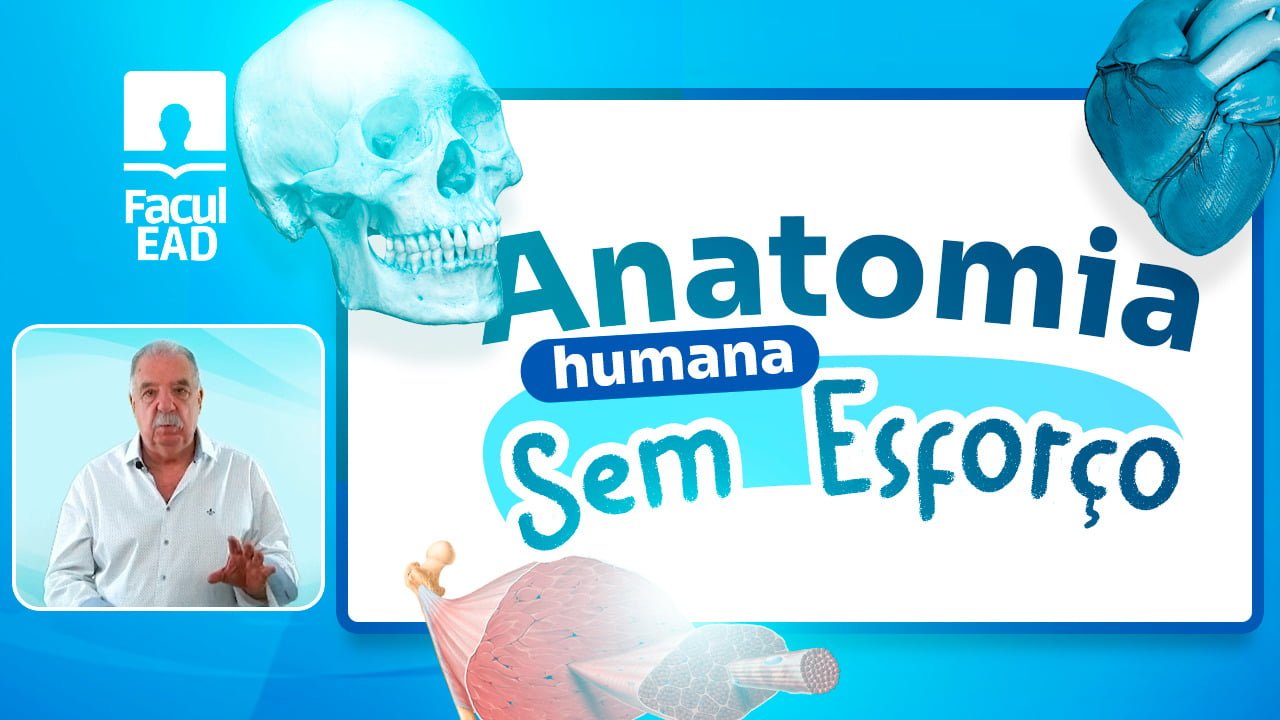 Facul.EAD e AGNC Publicidade fecham parceria frente ao SEO para impulsionar o orgânico da plataforma de ensino da saúde.